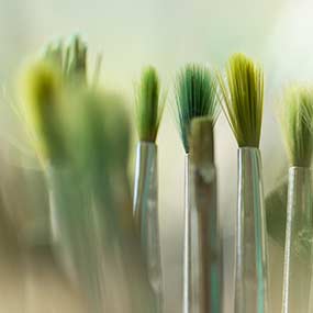 Selection of paint brushes for painting in green