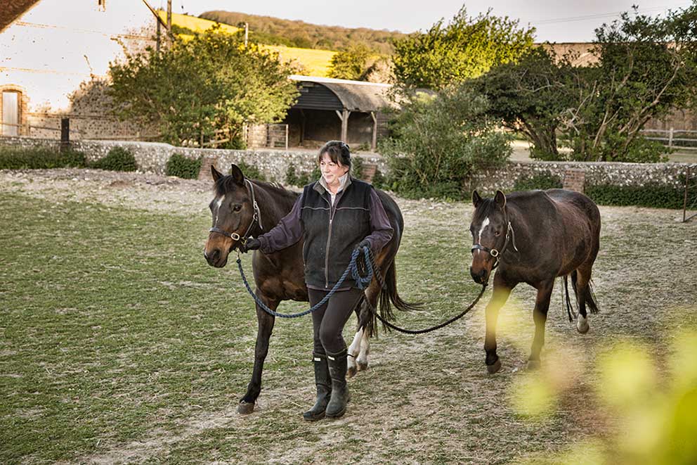 Lucy Postgate's Horse Riding School Photography South Downs Sussex image