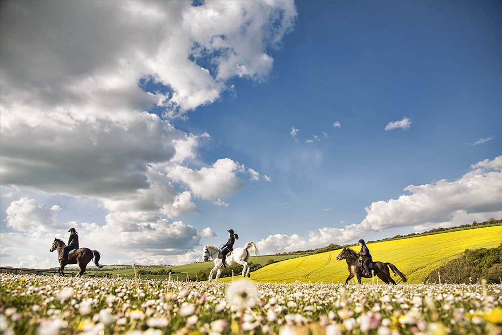 Lucy Postgate's Horse Riding School Photography South Downs Sussex image