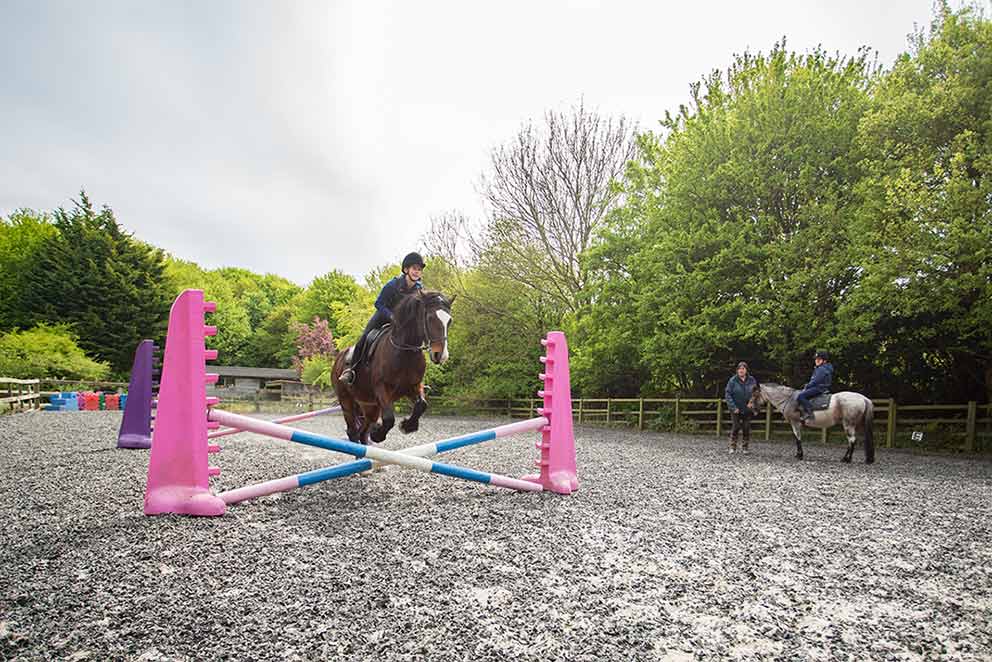 Lucy Postgate's Horse Riding School Photography South Downs Sussex image